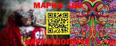стаф Славгород