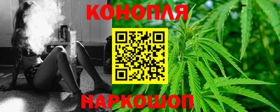 стаф Славгород