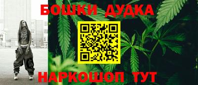 стаф Славгород