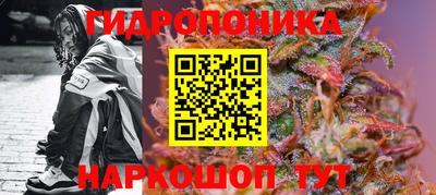 ГАЛЛЮЦИНОГЕННЫЕ ГРИБЫ Сланцы