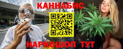 стаф Славгород
