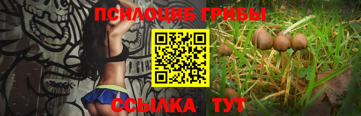 Галлюциногенные грибы MAGIC MUSHROOMS Печора