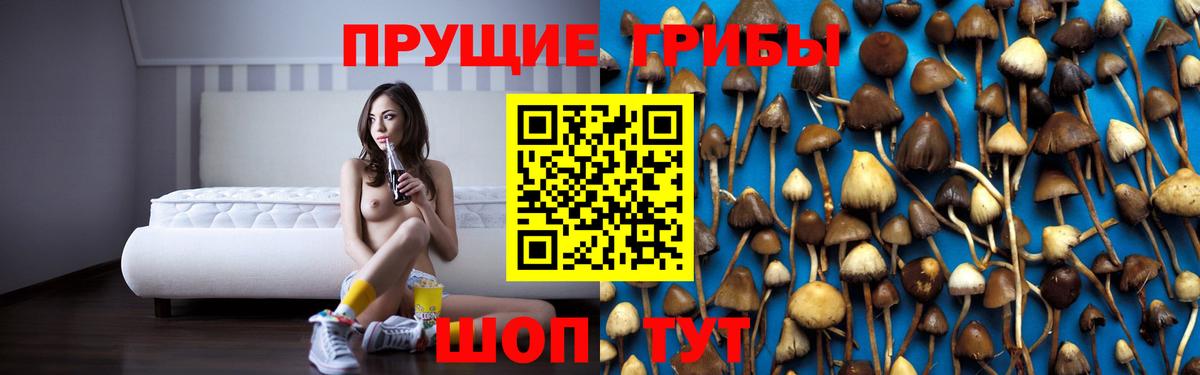 Печора  Галлюциногенные грибы ЛСД  Псилоцибиновые грибы Psilocybe  Вход с VPN 
